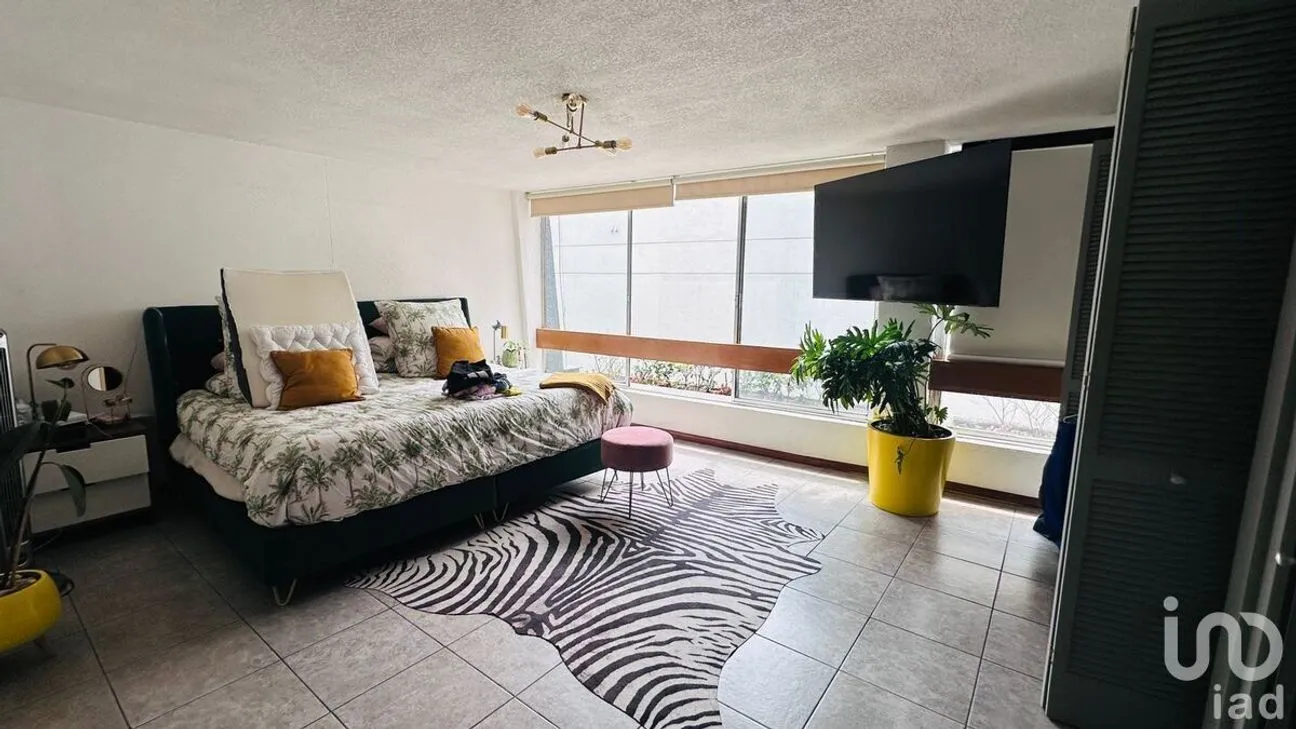 Departamento en Renta en Polanco I Sección, Miguel Hidalgo, Ciudad de México | NEX-226917 | iad México | Foto 7 de 13