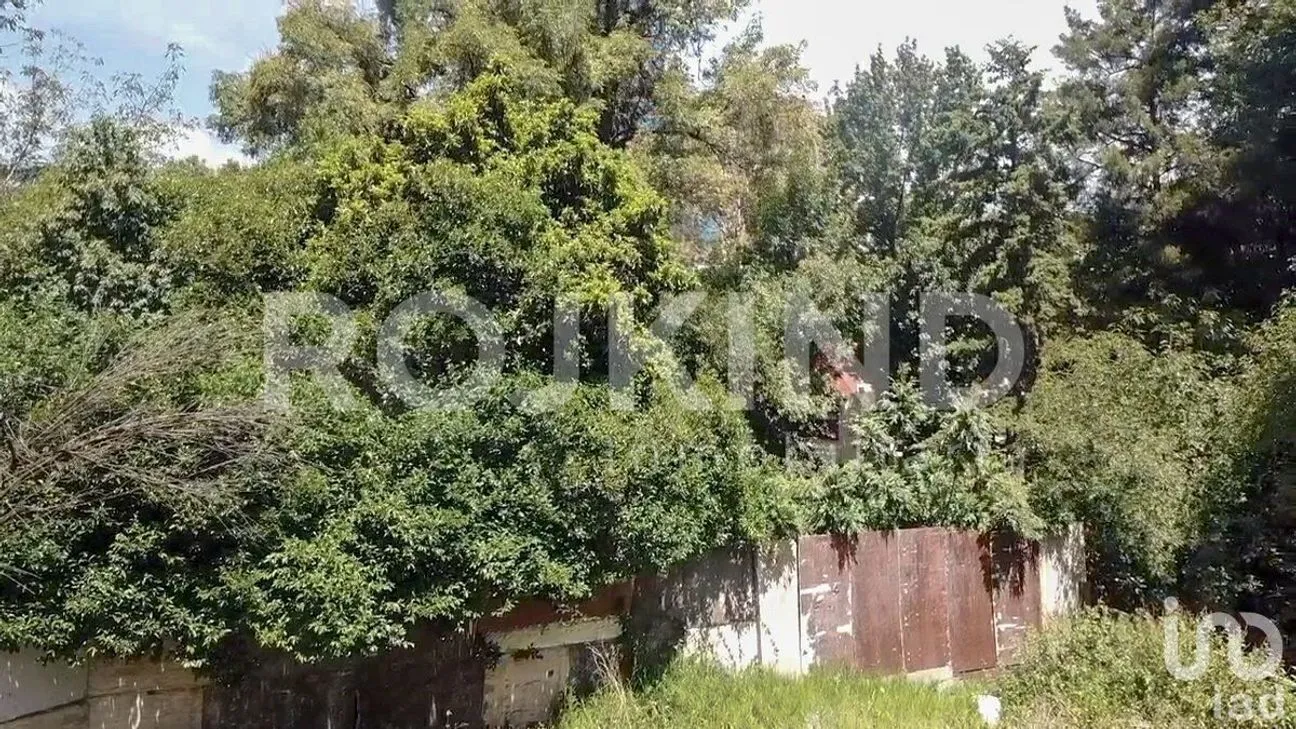 Terreno en Venta en Lomas de Chapultepec, Miguel Hidalgo, Ciudad de México | NEX-227008 | iad México | Foto 22 de 30