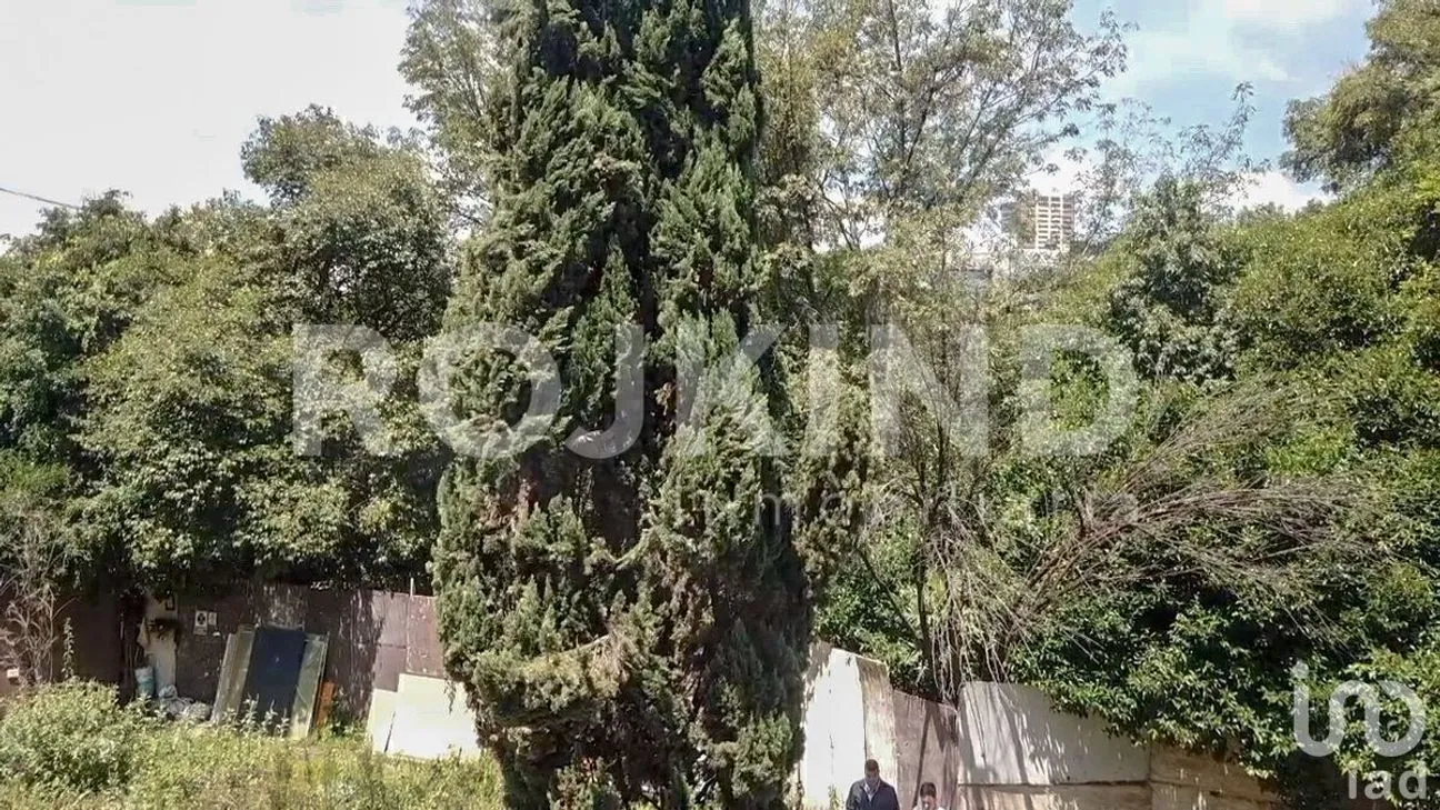 Terreno en Venta en Lomas de Chapultepec, Miguel Hidalgo, Ciudad de México | NEX-227008 | iad México | Foto 28 de 30