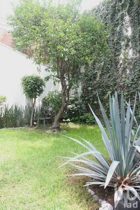 Casa en Renta en Lomas de Chapultepec, Miguel Hidalgo, Ciudad de México | NEX-231534 | iad México | Foto 6 de 9