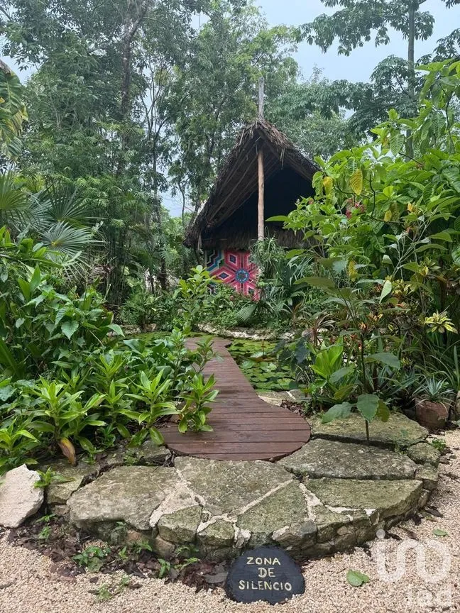 Terreno en Venta en Tulum Centro, Tulum, Quintana Roo | NEX-232086 | iad México | Foto 5 de 16