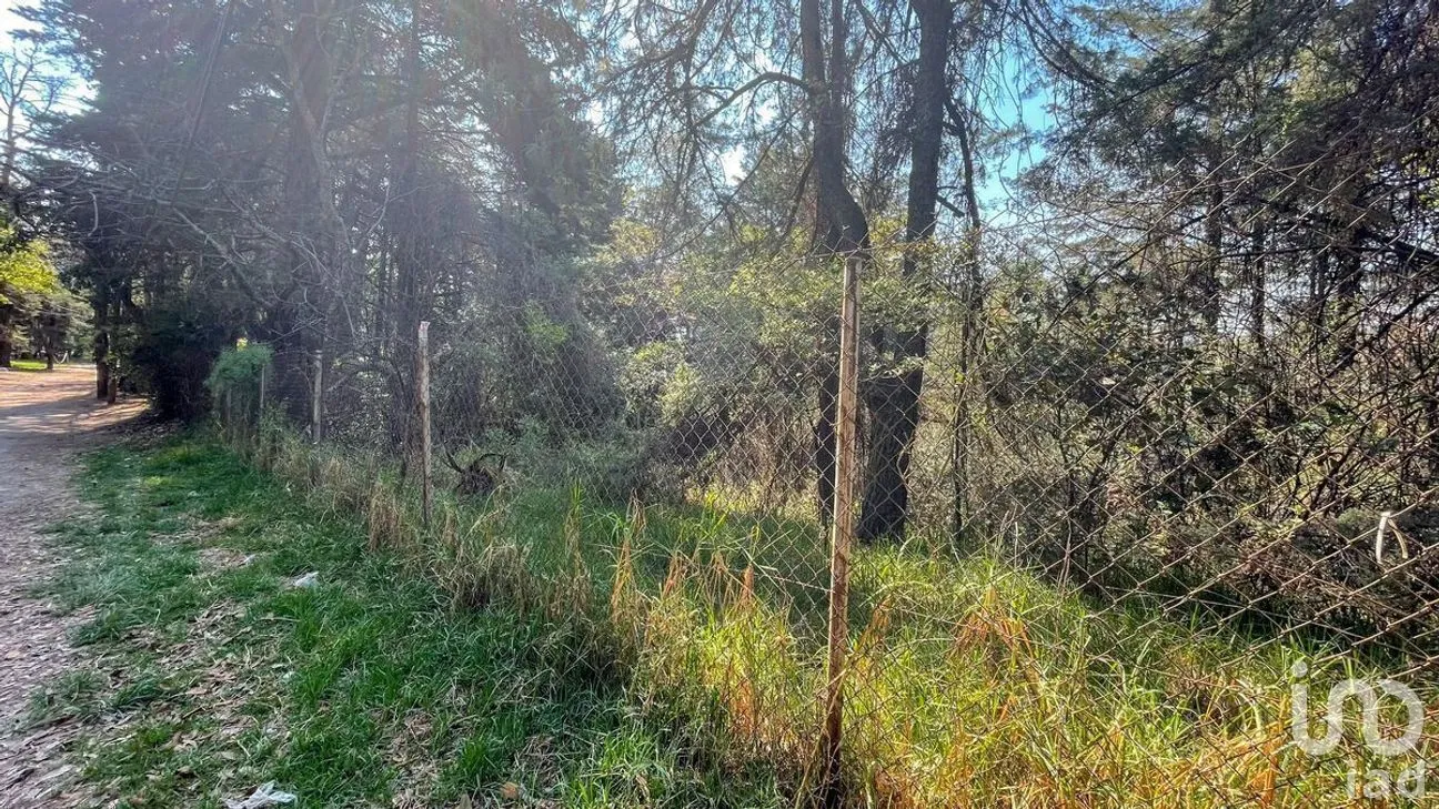 Terreno en Venta en San Mateo Tlaltenango, Cuajimalpa de Morelos, Ciudad de México | NEX-281181 | iad México | Foto 7 de 9