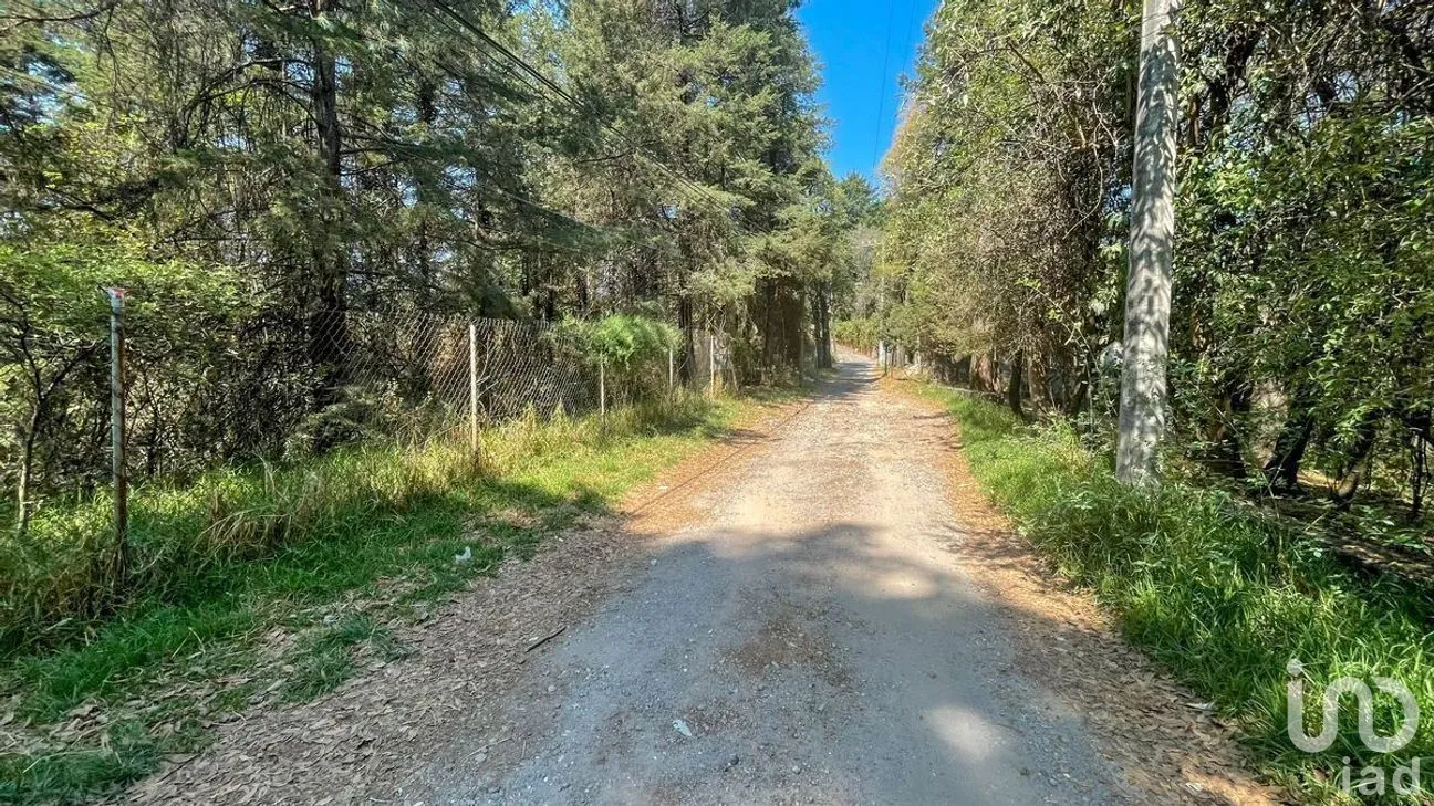 Terreno en Venta en San Mateo Tlaltenango, Cuajimalpa de Morelos, Ciudad de México | NEX-281181 | iad México | Foto 8 de 9