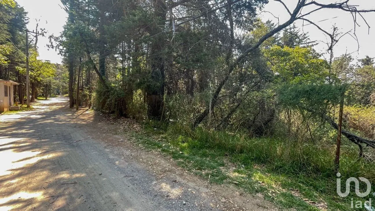 Terreno en Venta en San Mateo Tlaltenango, Cuajimalpa de Morelos, Ciudad de México | NEX-281181 | iad México | Foto 9 de 9