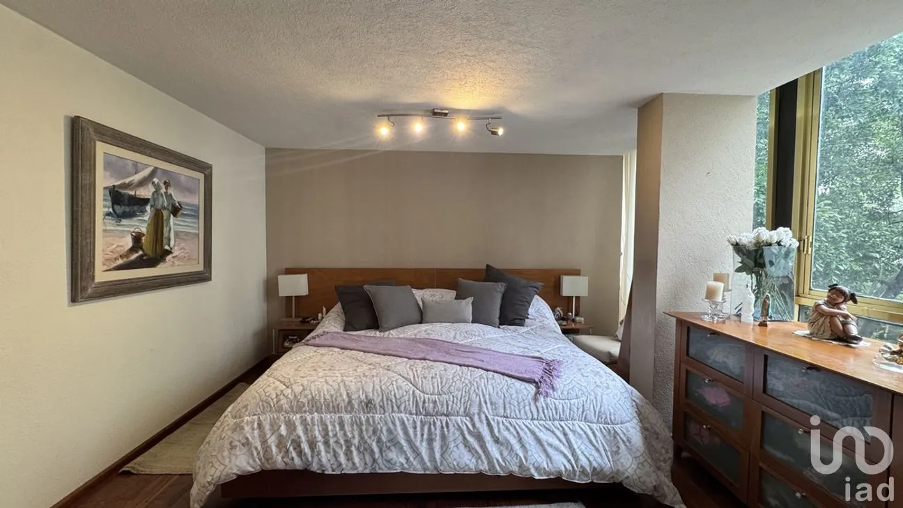 Departamento en Venta en Lomas de Chapultepec I Sección, Miguel Hidalgo, Ciudad de México | NEX-281191 | iad México | Foto 16 de 23