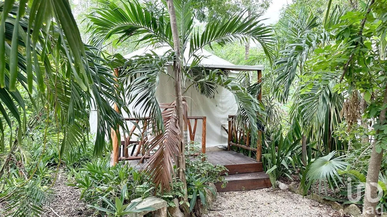 Terreno en Venta en Tulum Centro, Tulum, Quintana Roo | NEX-281203 | iad México | Foto 6 de 20