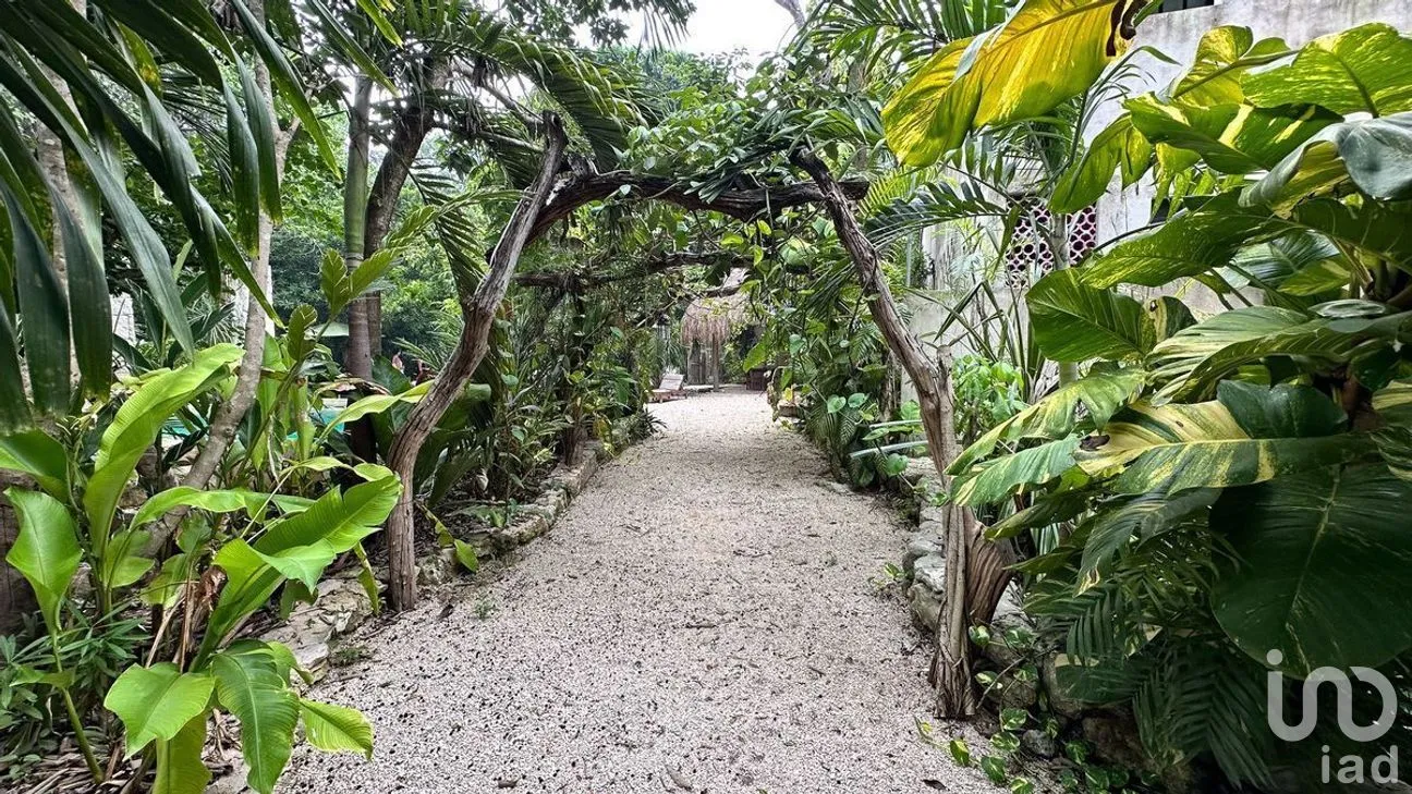 Terreno en Venta en Tulum Centro, Tulum, Quintana Roo | NEX-281203 | iad México | Foto 9 de 20