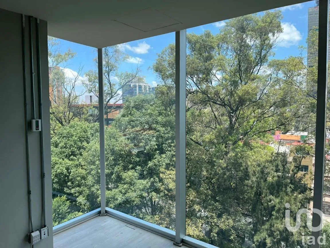 Oficina en Renta en Anzures, Miguel Hidalgo, Ciudad de México | NEX-281221 | iad México | Foto 15 de 15