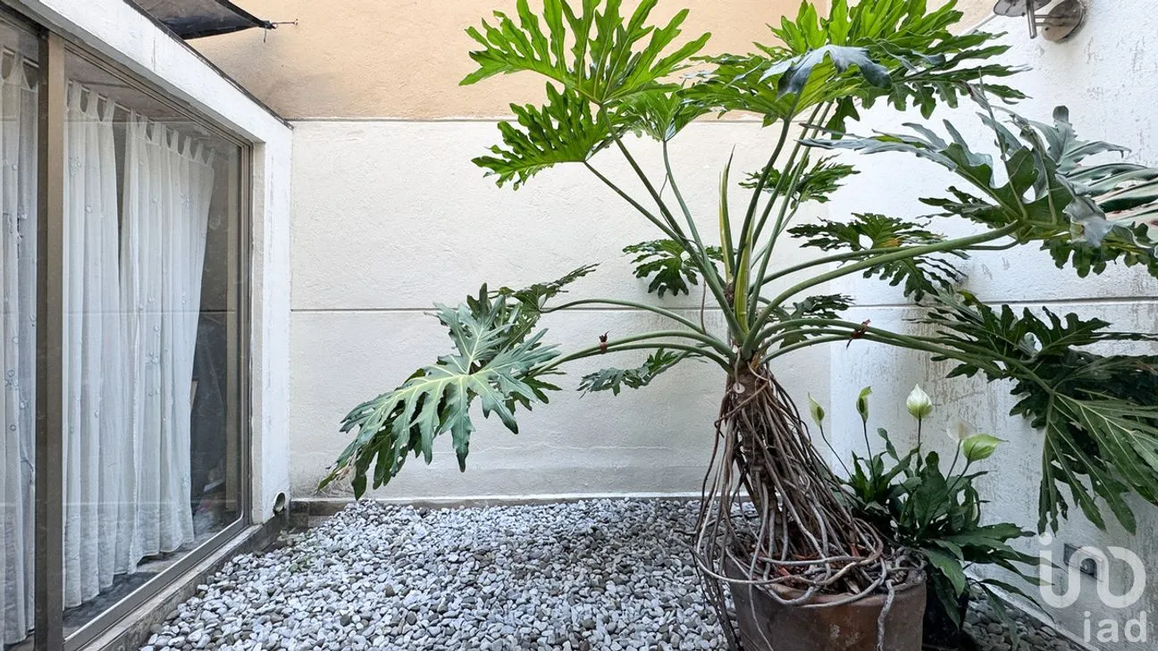 Departamento en Venta en Polanco III Sección, Miguel Hidalgo, Ciudad de México | NEX-281235 | iad México | Foto 18 de 25