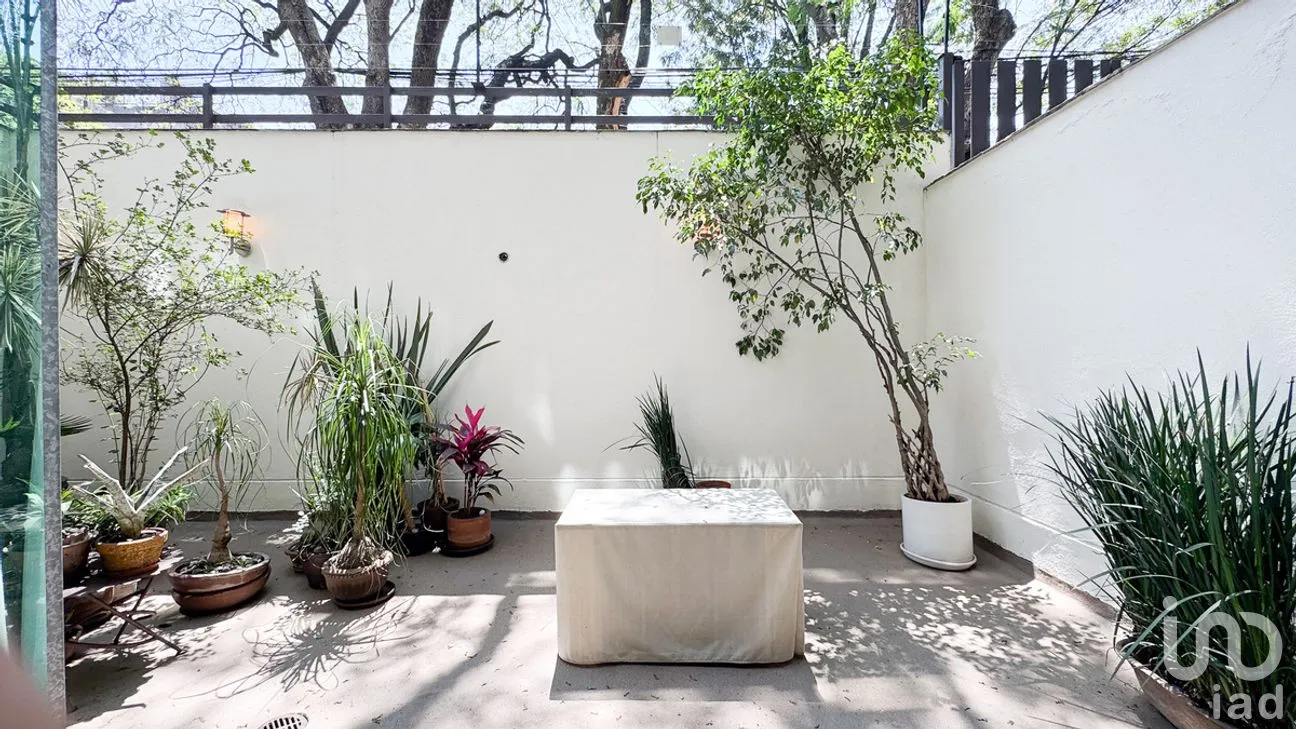 Departamento en Venta en Polanco III Sección, Miguel Hidalgo, Ciudad de México | NEX-281235 | iad México | Foto 4 de 25