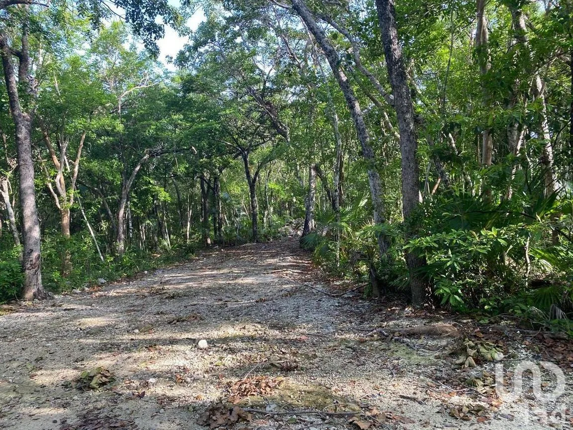 Terreno en Venta en La Veleta, Tulum, Quintana Roo | NEX-281241 | iad México | Foto 2 de 17