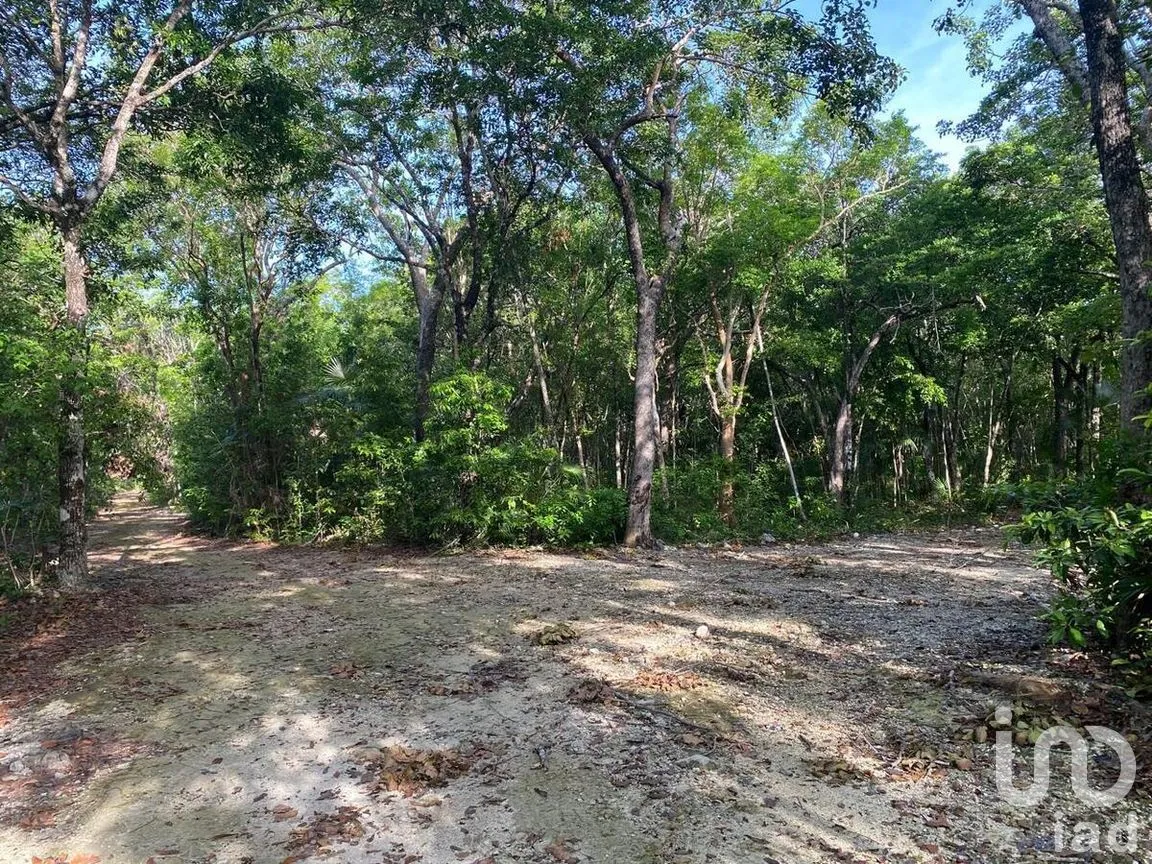 Terreno en Venta en La Veleta, Tulum, Quintana Roo | NEX-281241 | iad México | Foto 16 de 17