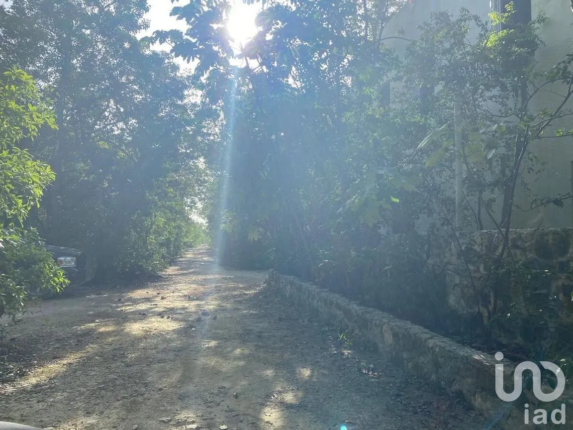 Terreno en Venta en La Veleta, Tulum, Quintana Roo | NEX-281241 | iad México | Foto 17 de 17