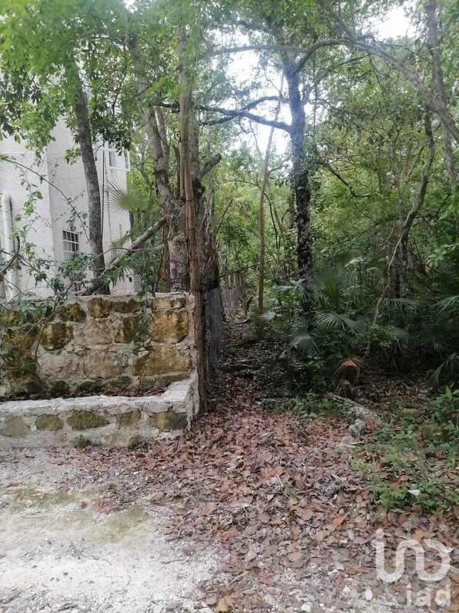 Terreno en Venta en La Veleta, Tulum, Quintana Roo | NEX-281241 | iad México | Foto 6 de 17