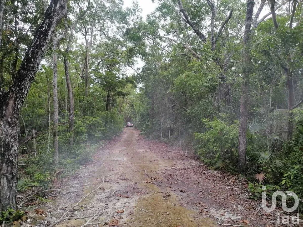 Terreno en Venta en La Veleta, Tulum, Quintana Roo | NEX-281241 | iad México | Foto 10 de 17