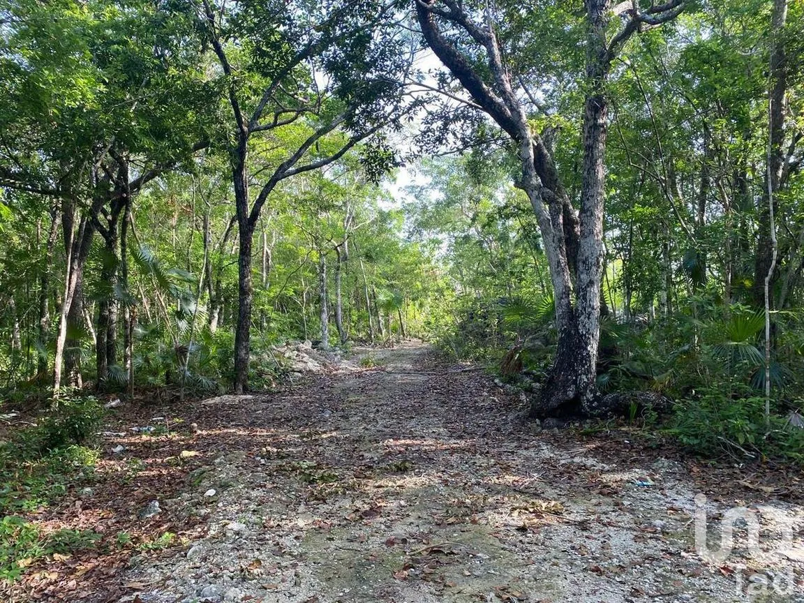 Terreno en Venta en La Veleta, Tulum, Quintana Roo | NEX-281241 | iad México | Foto 1 de 17