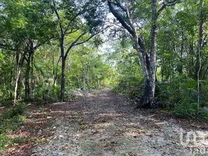 NEX-281241 - Terreno en Venta en La Veleta, CP 77760, Quintana Roo.