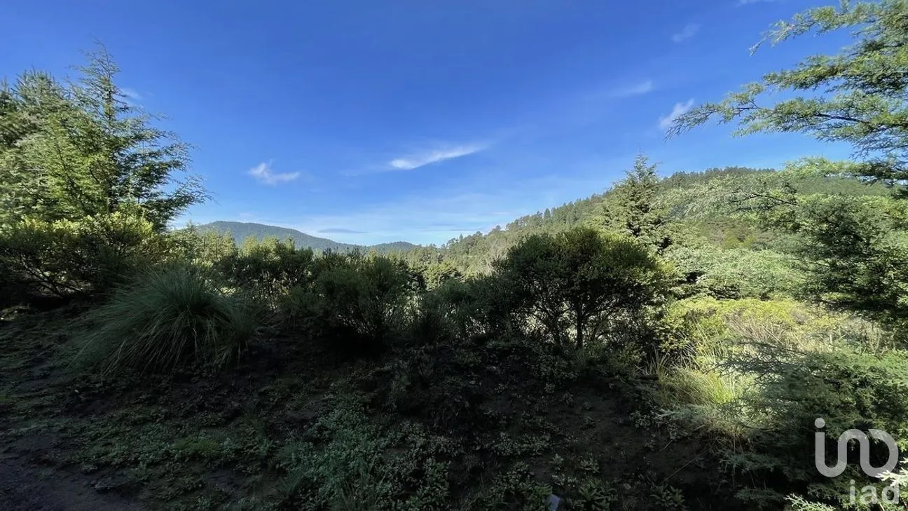 Terreno en Venta en Salazar, Lerma, Estado de México | NEX-281247 | iad México | Foto 2 de 50
