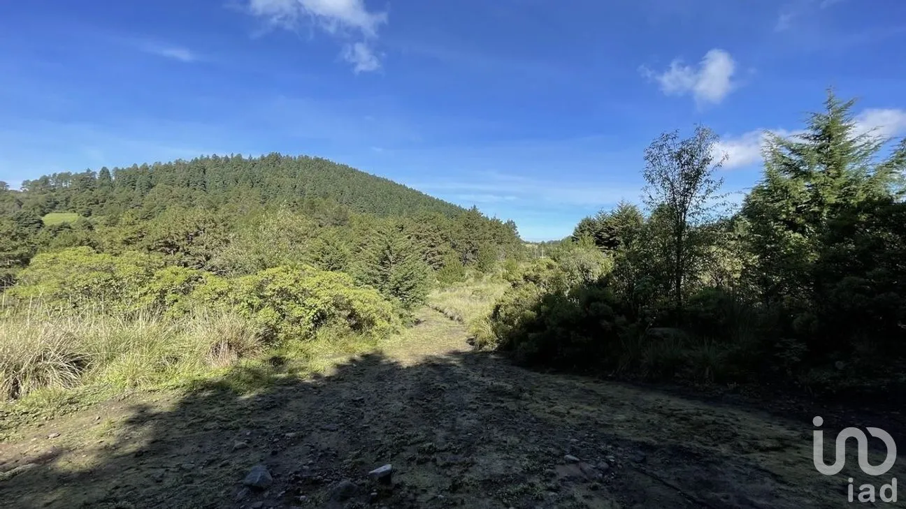 Terreno en Venta en Salazar, Lerma, Estado de México | NEX-281247 | iad México | Foto 11 de 50