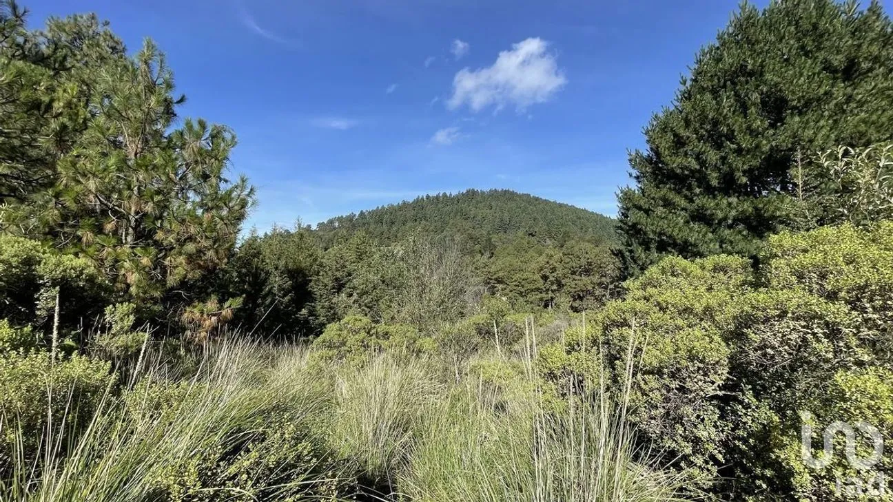 Terreno en Venta en Salazar, Lerma, Estado de México | NEX-281247 | iad México | Foto 12 de 50