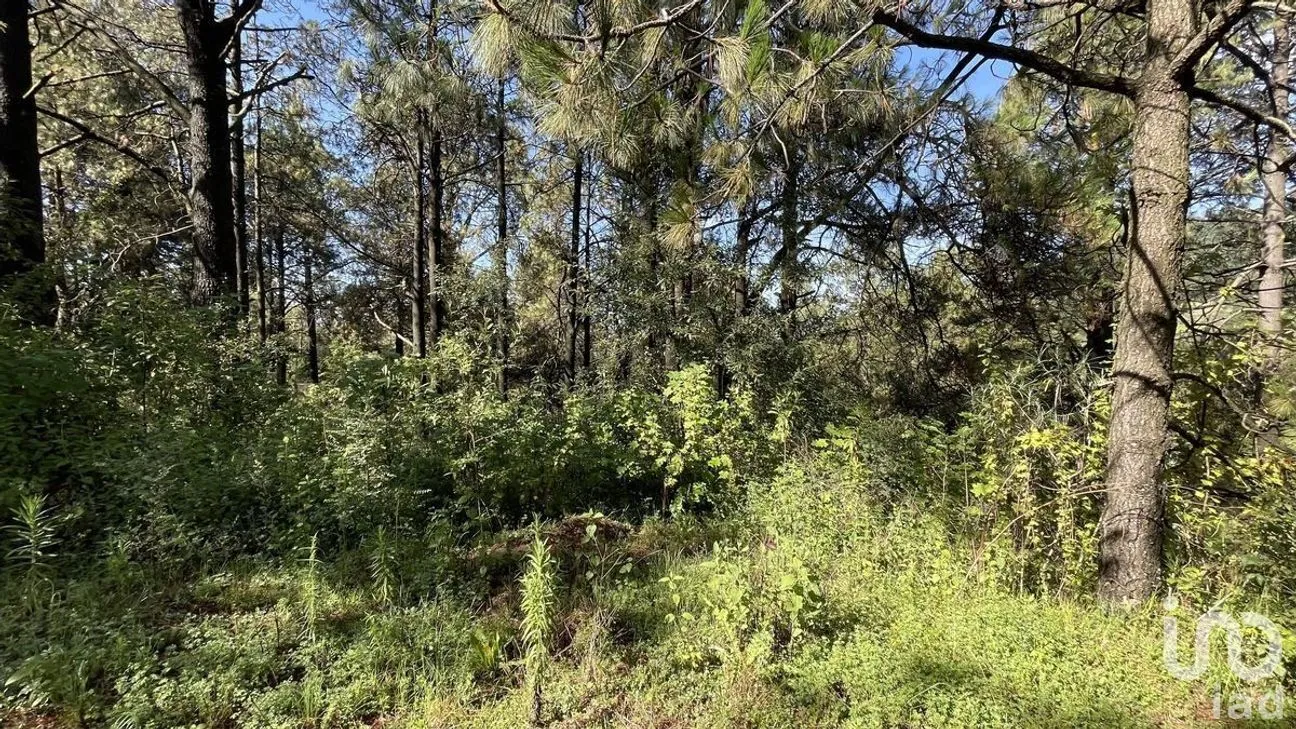 Terreno en Venta en Salazar, Lerma, Estado de México | NEX-281247 | iad México | Foto 13 de 50
