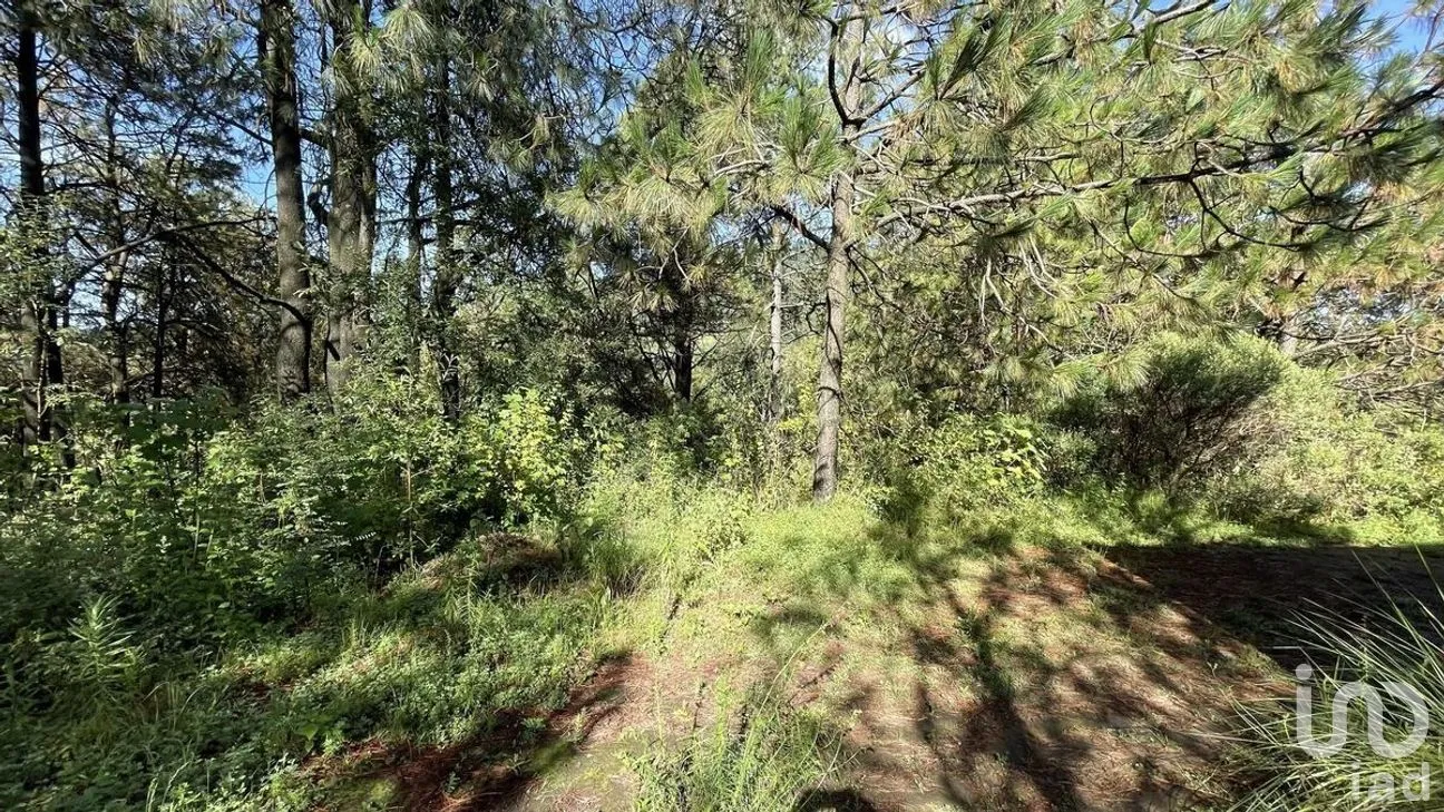 Terreno en Venta en Salazar, Lerma, Estado de México | NEX-281247 | iad México | Foto 14 de 50