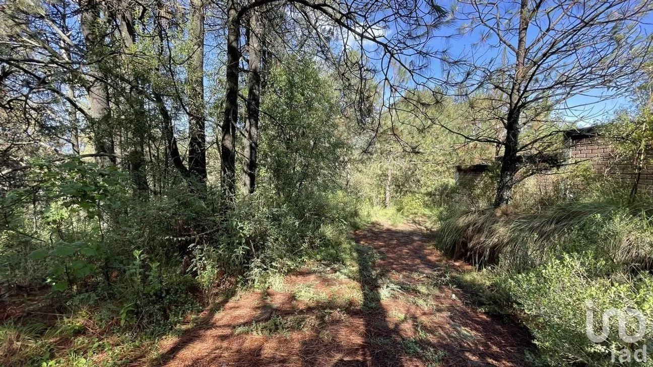 Terreno en Venta en Salazar, Lerma, Estado de México | NEX-281247 | iad México | Foto 15 de 50