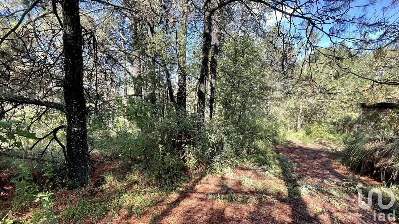 Terreno en Venta en Salazar, Lerma, Estado de México | NEX-281247 | iad México | Foto 16 de 50