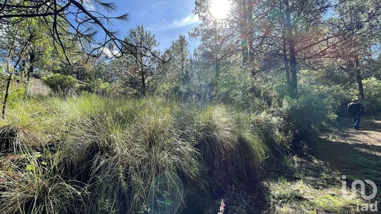Terreno en Venta en Salazar, Lerma, Estado de México | NEX-281247 | iad México | Foto 17 de 50