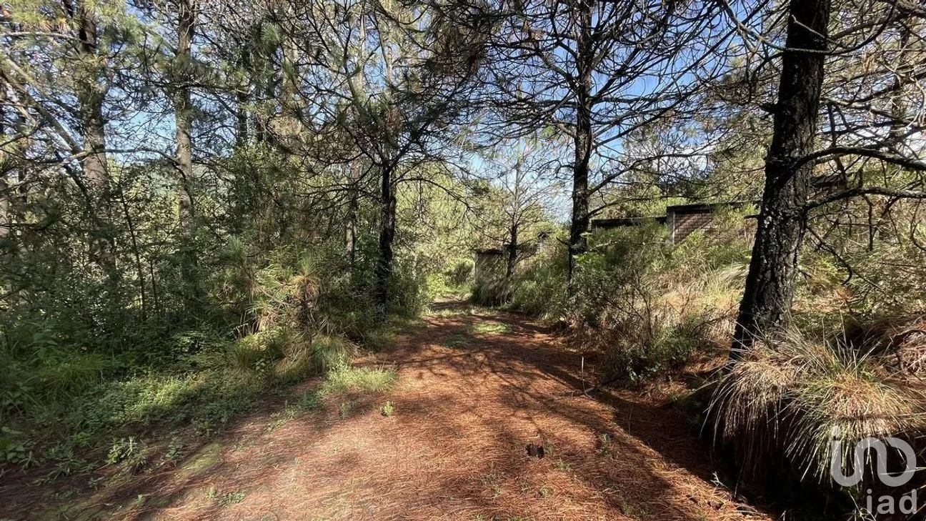 Terreno en Venta en Salazar, Lerma, Estado de México | NEX-281247 | iad México | Foto 18 de 50