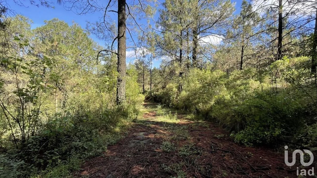 Terreno en Venta en Salazar, Lerma, Estado de México | NEX-281247 | iad México | Foto 19 de 50