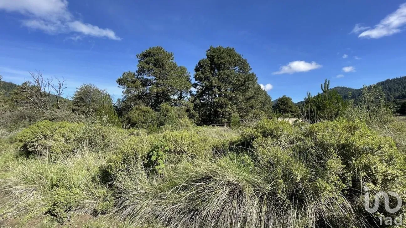 Terreno en Venta en Salazar, Lerma, Estado de México | NEX-281247 | iad México | Foto 20 de 50