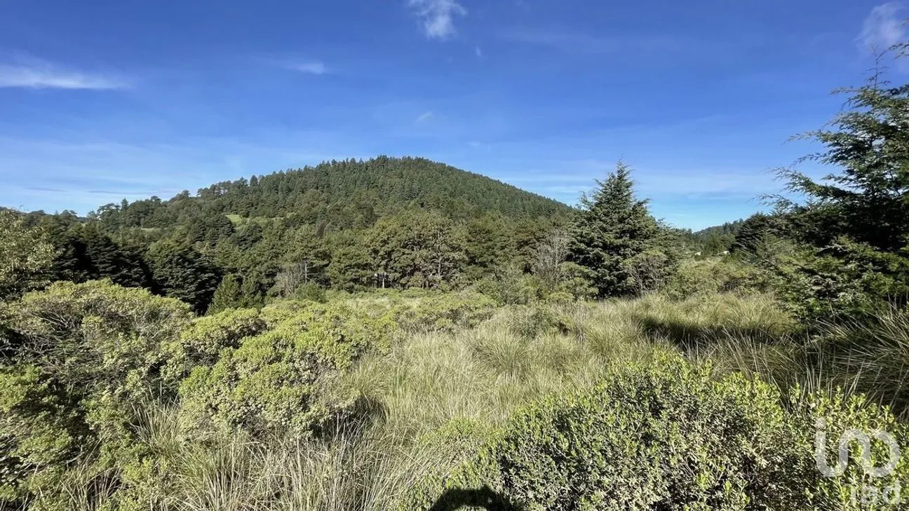 Terreno en Venta en Salazar, Lerma, Estado de México | NEX-281247 | iad México | Foto 3 de 50