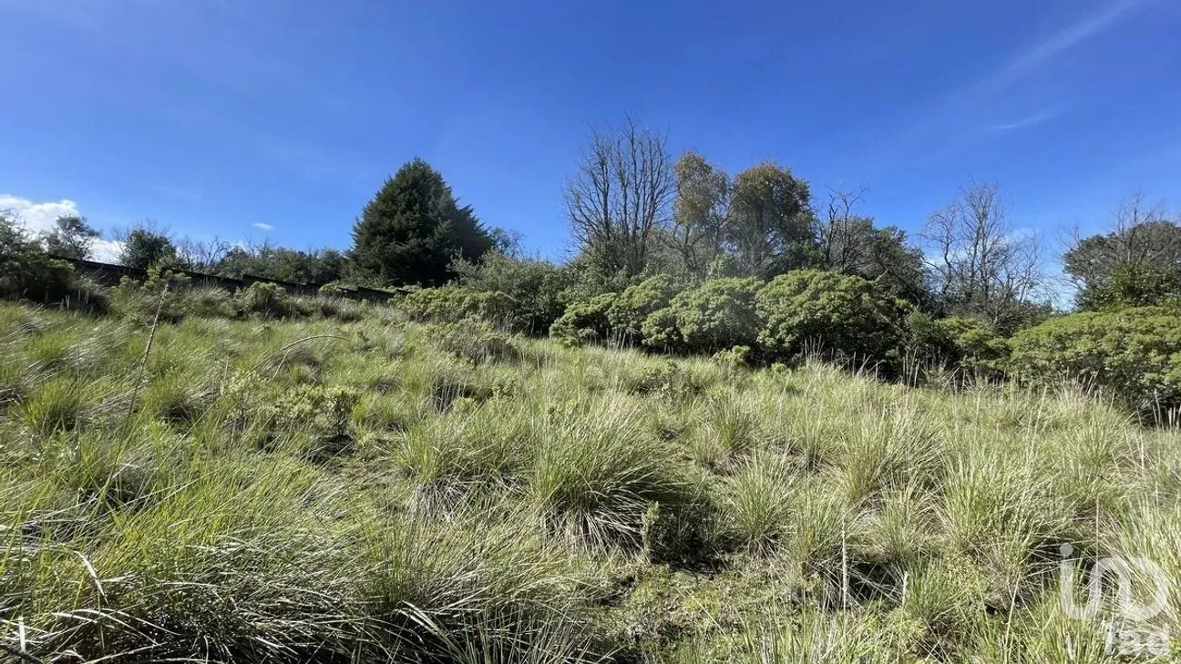 Terreno en Venta en Salazar, Lerma, Estado de México | NEX-281247 | iad México | Foto 21 de 50