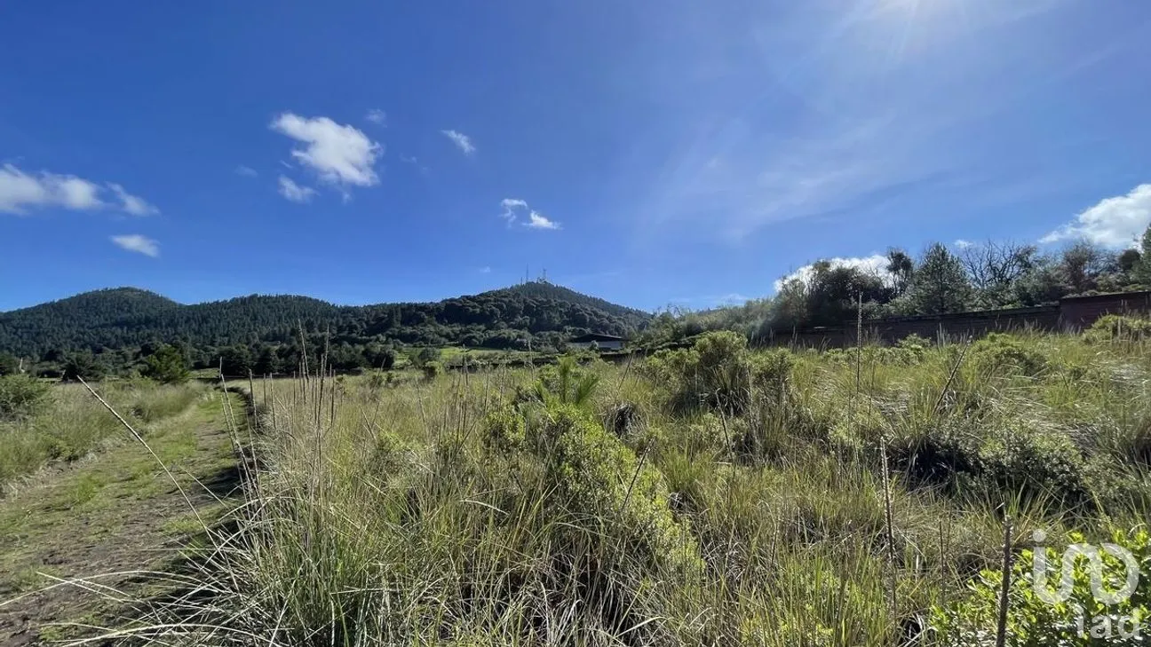 Terreno en Venta en Salazar, Lerma, Estado de México | NEX-281247 | iad México | Foto 22 de 50