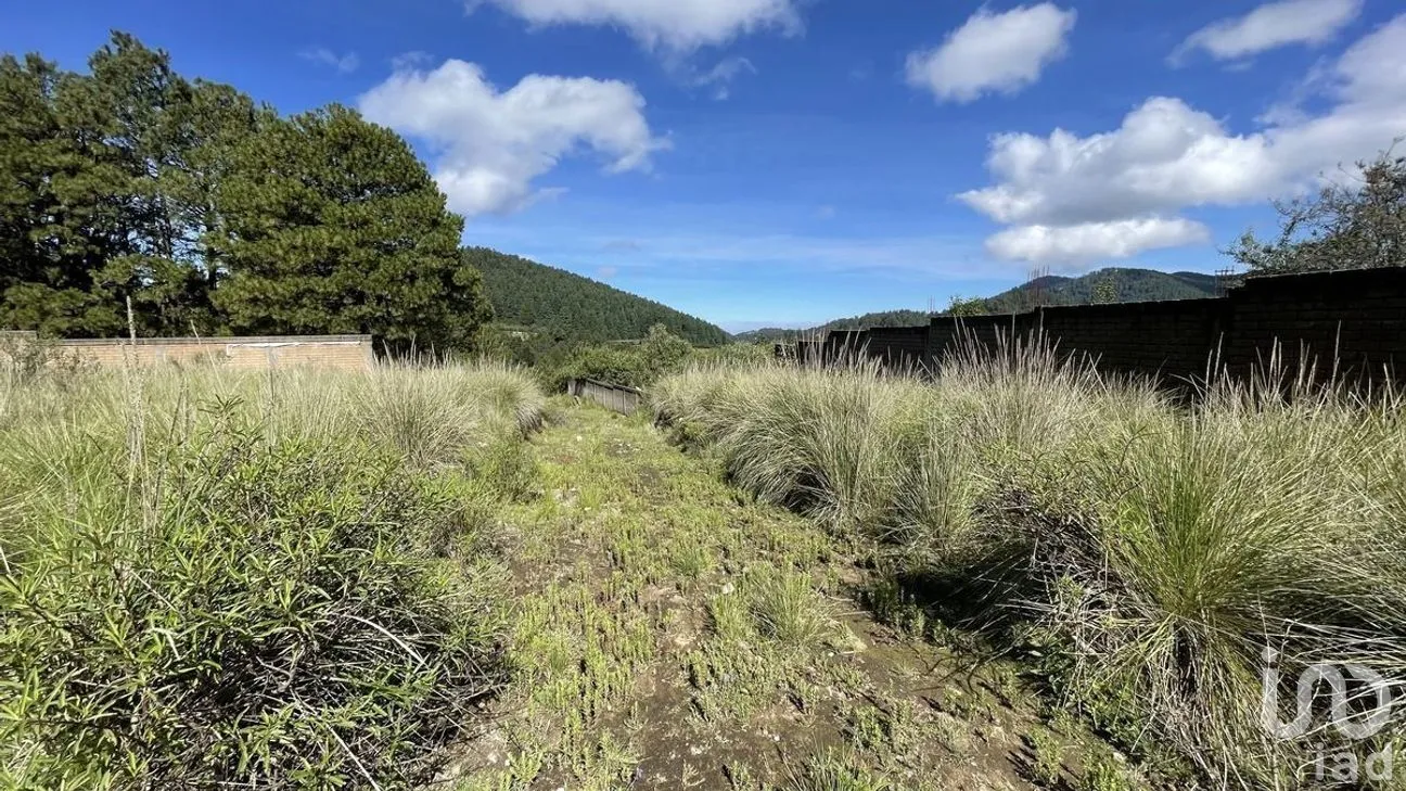 Terreno en Venta en Salazar, Lerma, Estado de México | NEX-281247 | iad México | Foto 23 de 50