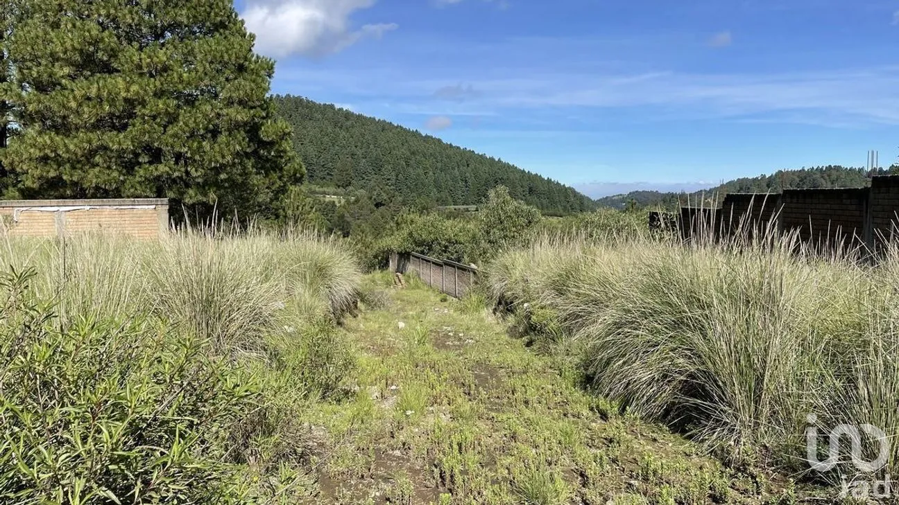 Terreno en Venta en Salazar, Lerma, Estado de México | NEX-281247 | iad México | Foto 24 de 50