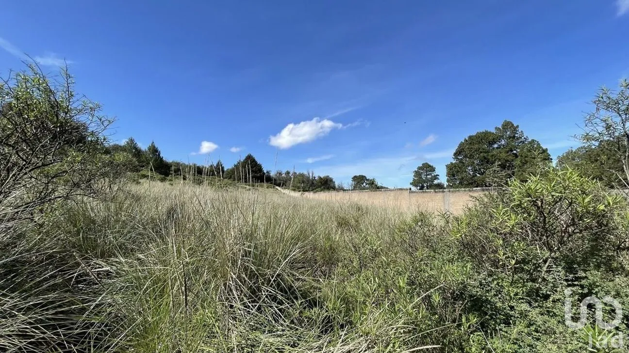 Terreno en Venta en Salazar, Lerma, Estado de México | NEX-281247 | iad México | Foto 25 de 50