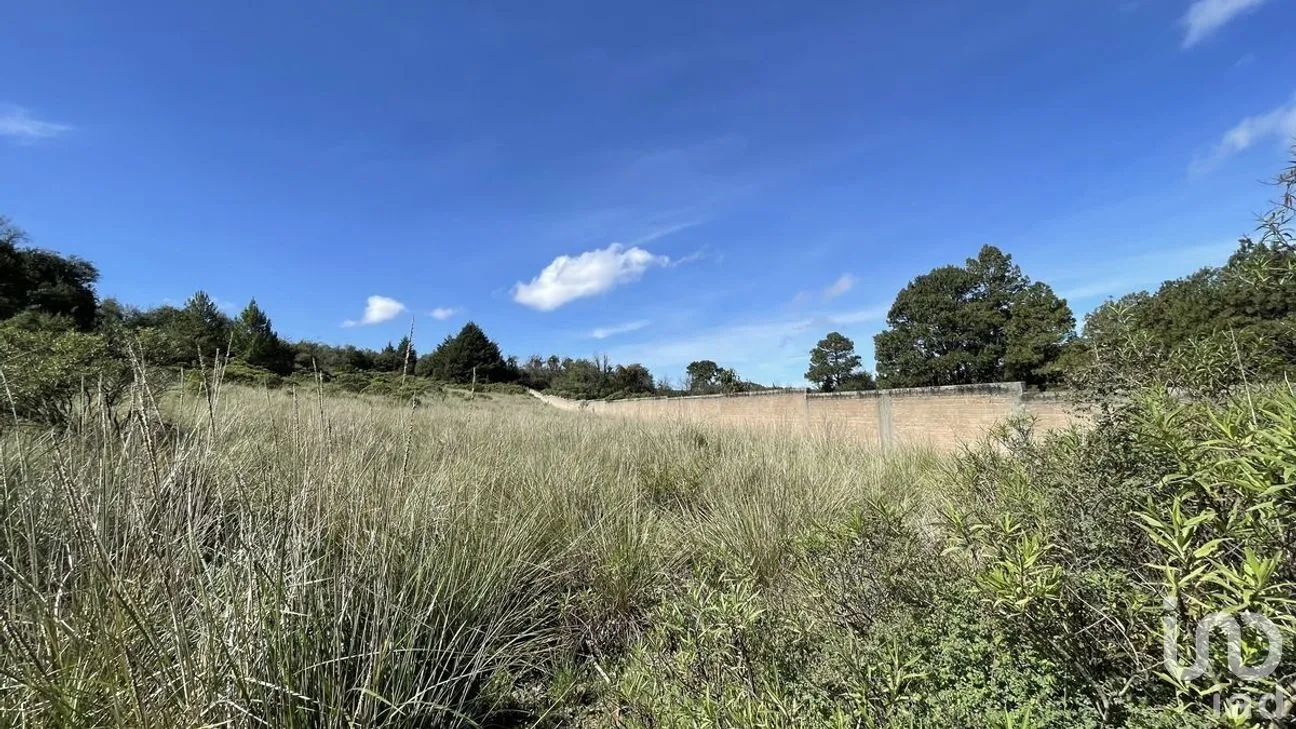 Terreno en Venta en Salazar, Lerma, Estado de México | NEX-281247 | iad México | Foto 26 de 50
