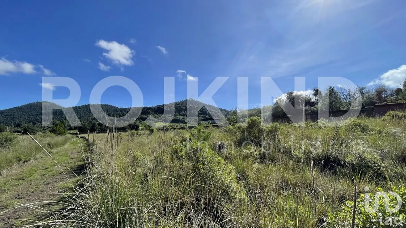 Terreno en Venta en Salazar, Lerma, Estado de México | NEX-281247 | iad México | Foto 28 de 50