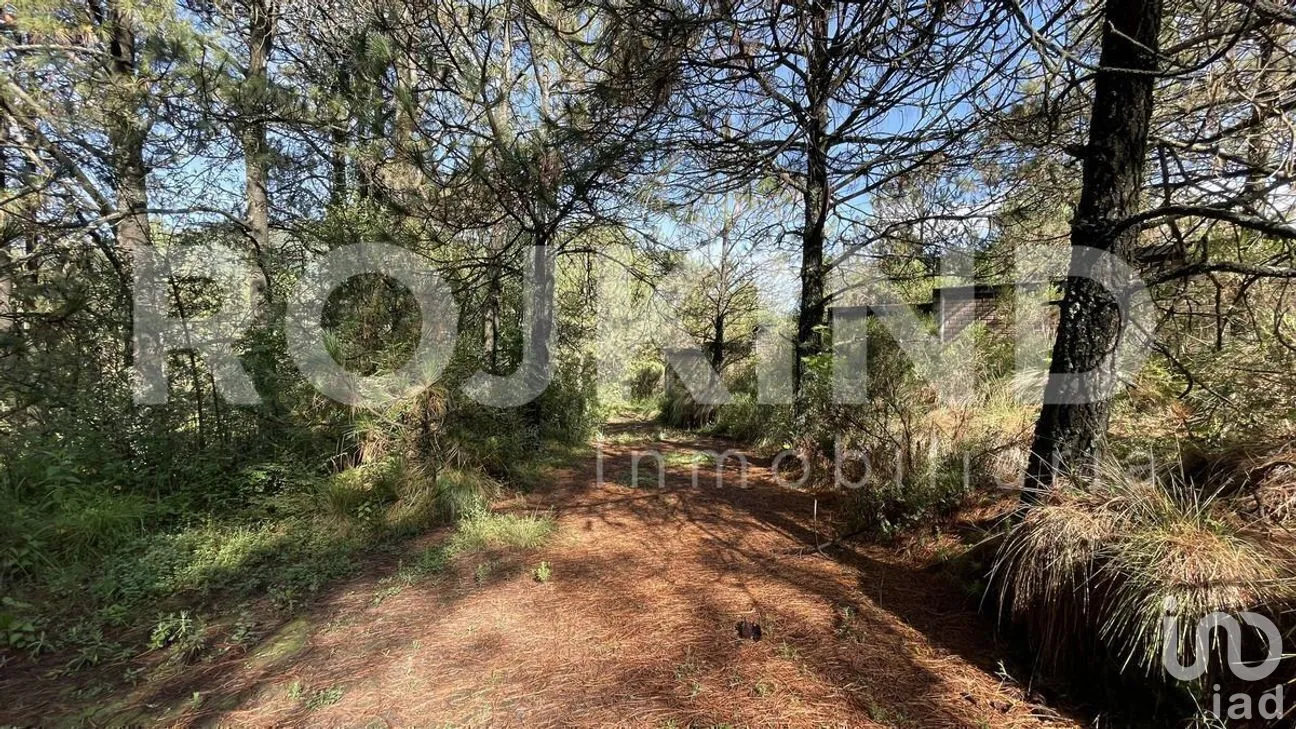 Terreno en Venta en Salazar, Lerma, Estado de México | NEX-281247 | iad México | Foto 29 de 50