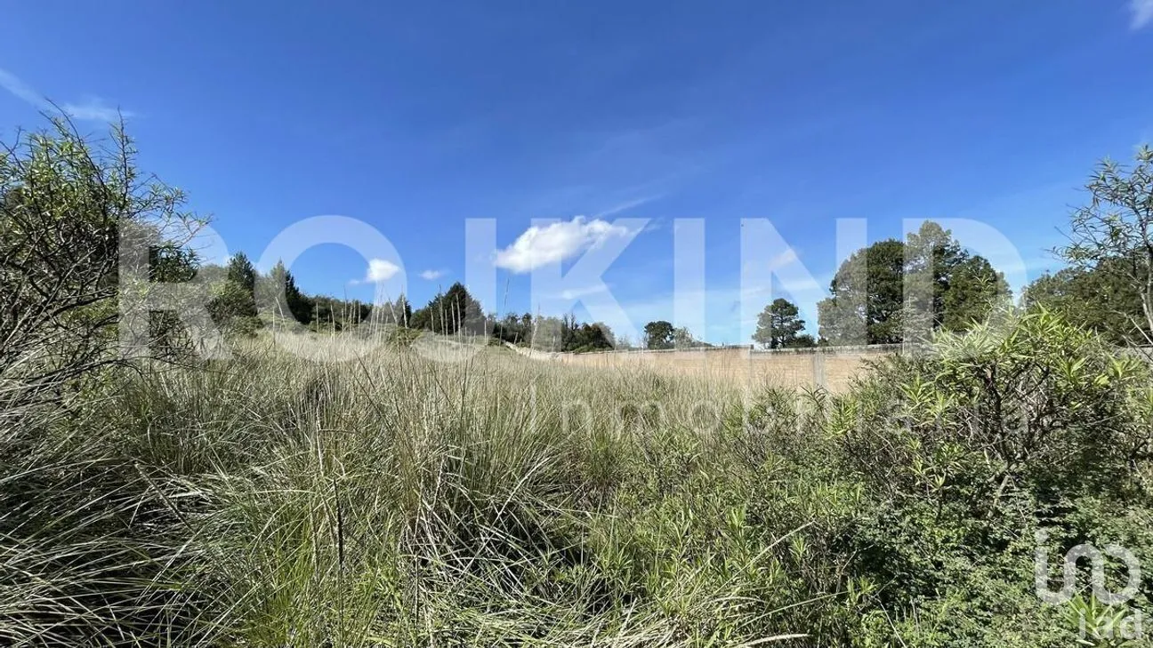Terreno en Venta en Salazar, Lerma, Estado de México | NEX-281247 | iad México | Foto 30 de 50