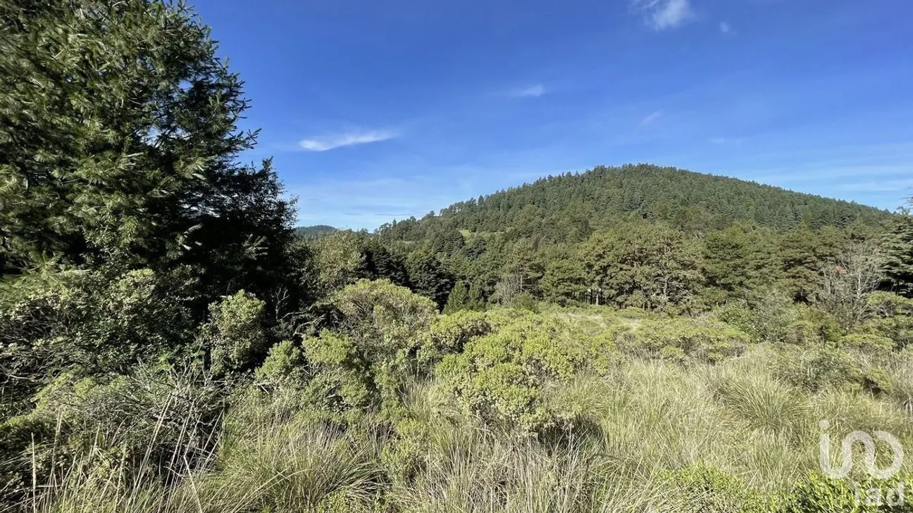 Terreno en Venta en Salazar, Lerma, Estado de México | NEX-281247 | iad México | Foto 4 de 50