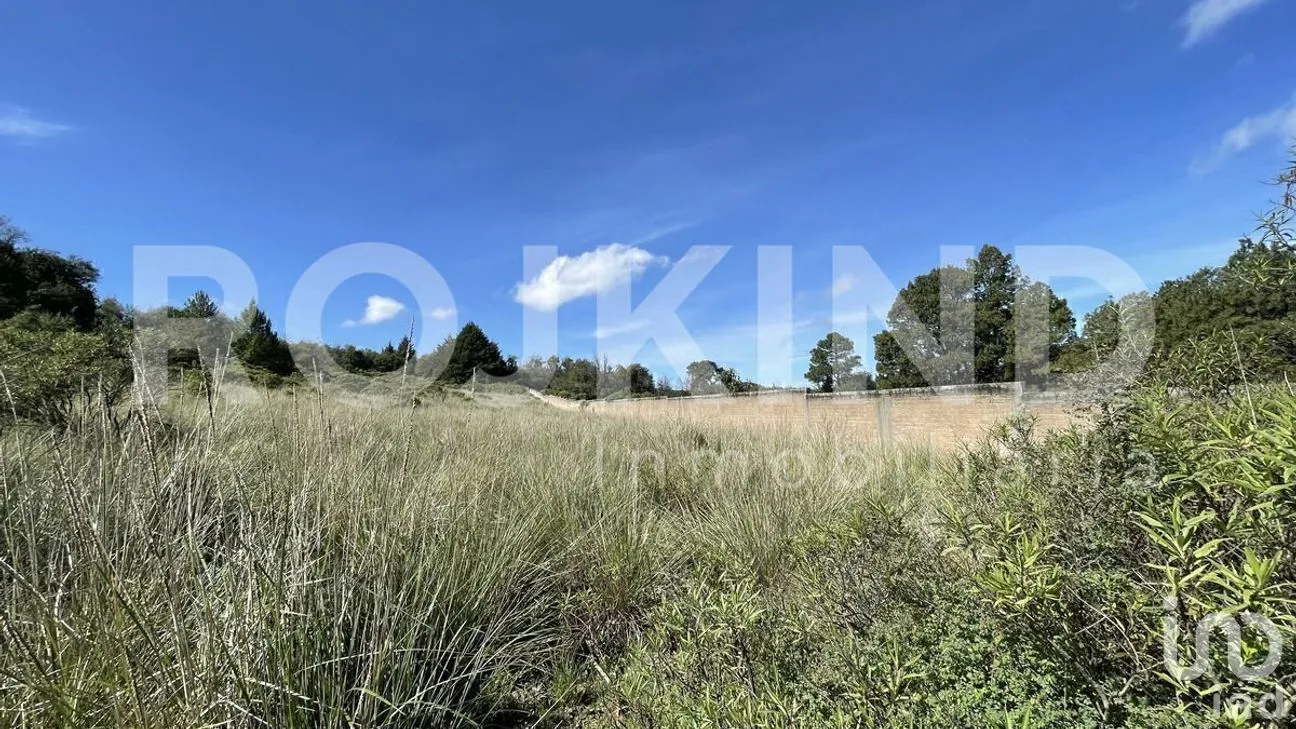 Terreno en Venta en Salazar, Lerma, Estado de México | NEX-281247 | iad México | Foto 31 de 50