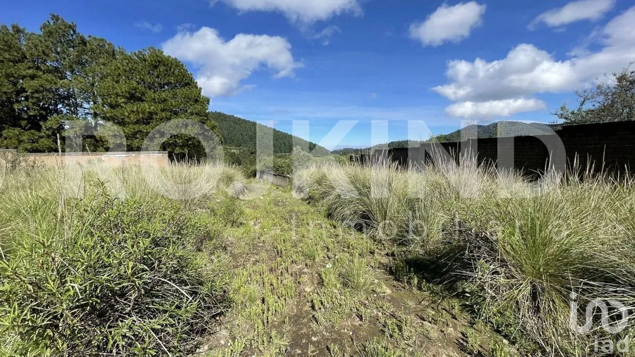 Terreno en Venta en Salazar, Lerma, Estado de México | NEX-281247 | iad México | Foto 32 de 50