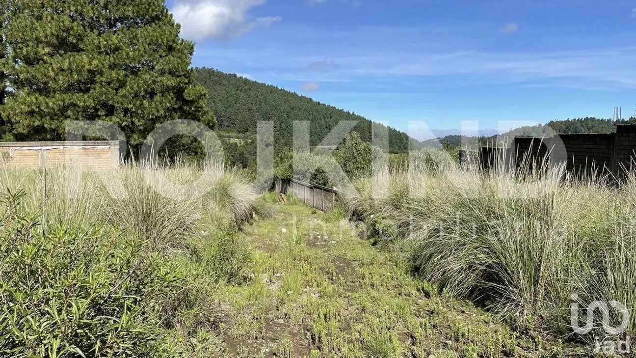 Terreno en Venta en Salazar, Lerma, Estado de México | NEX-281247 | iad México | Foto 33 de 50