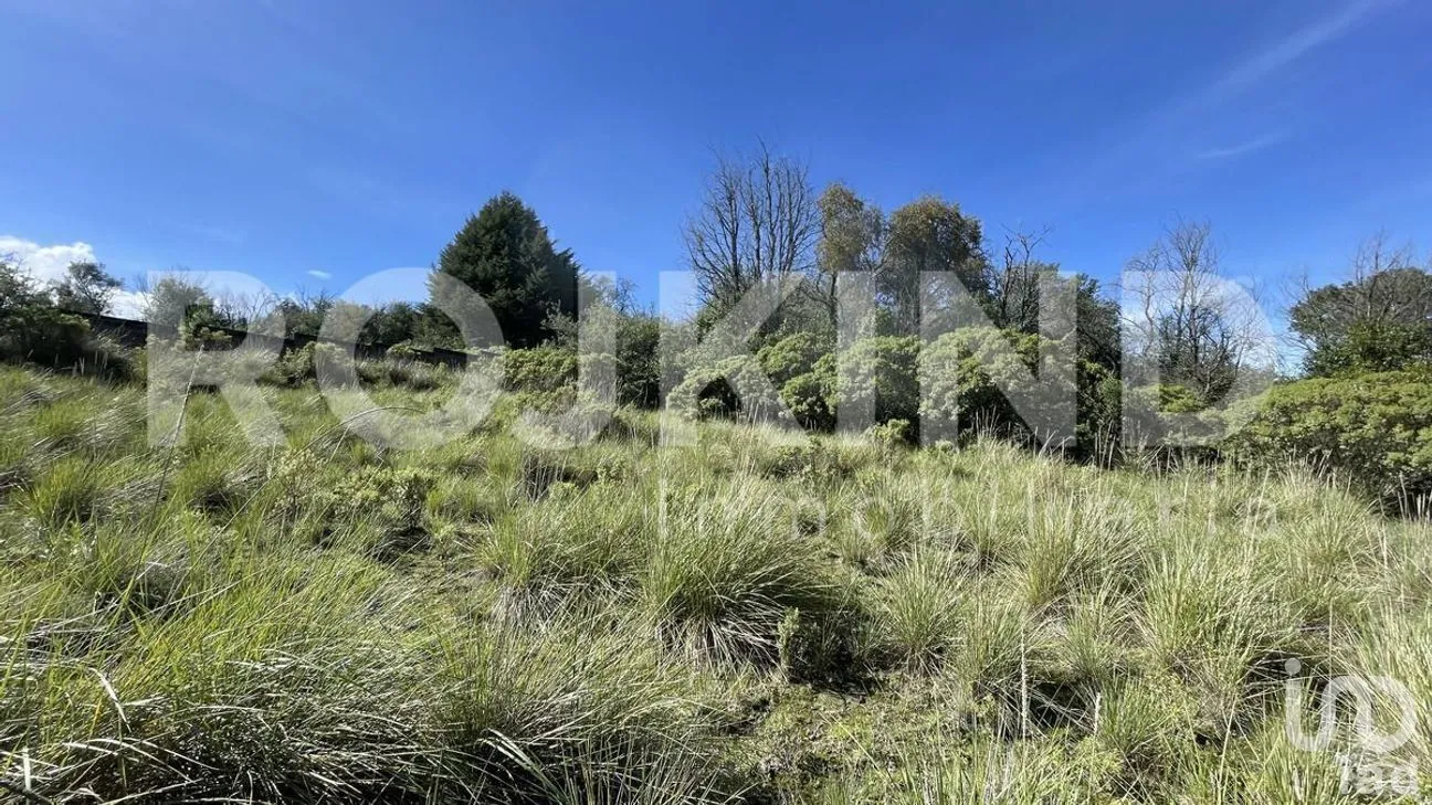 Terreno en Venta en Salazar, Lerma, Estado de México | NEX-281247 | iad México | Foto 34 de 50