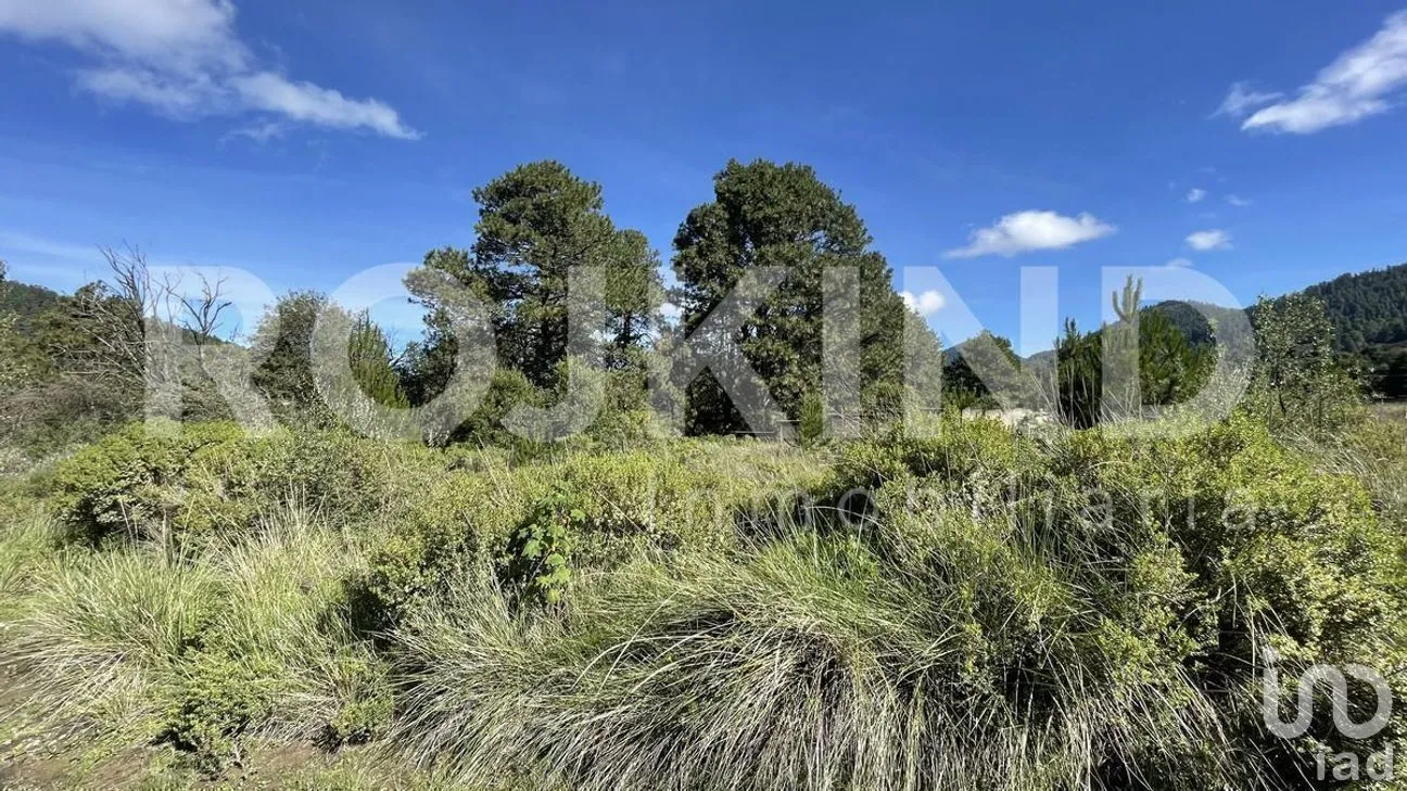 Terreno en Venta en Salazar, Lerma, Estado de México | NEX-281247 | iad México | Foto 35 de 50