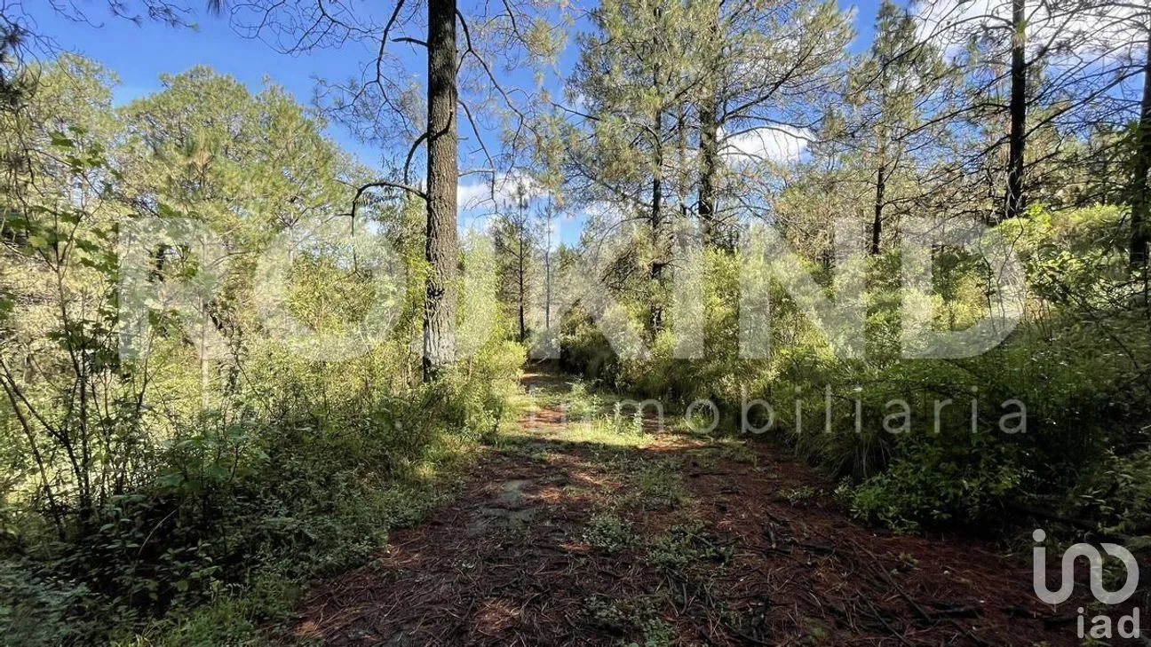 Terreno en Venta en Salazar, Lerma, Estado de México | NEX-281247 | iad México | Foto 36 de 50