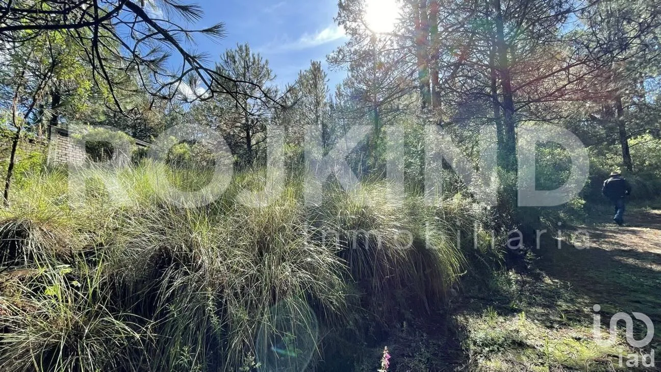 Terreno en Venta en Salazar, Lerma, Estado de México | NEX-281247 | iad México | Foto 37 de 50